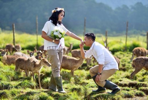 3 Tempat Romantis di Sekitar Jakarta untuk Rayakan Valentine - GenPI.co