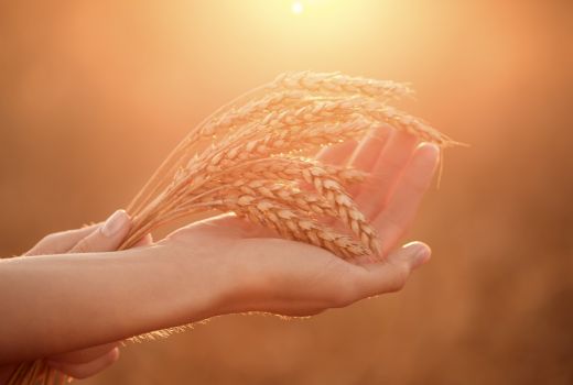 Sagitarius, Capricorn, Aquarius, Pisces, Jumat Esok akan Hadapi.. - GenPI.co