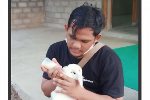Kuliah Sambil Beternak, Kini Lukman Miliki Ratusan Domba - GenPI.co