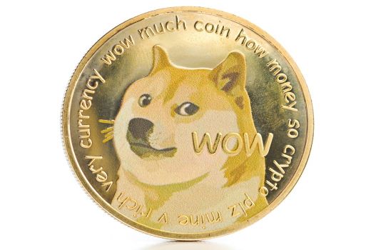 Kripto Dogecoin Makin Dilirik Investor Amatir, Kenapa? - GenPI.co
