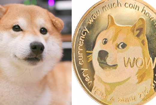 Shiba Inu Lambang Dogecoin, Anjing Petualang Sekaligus Lembut - GenPI.co