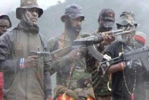 Pengamat Top Minta TNI Lebih Tegas Tangani KKB Papua - GenPI.co