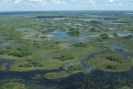 Botswana, Asal Usul Semua Manusia di Dunia,Benarkah? - GenPI.co