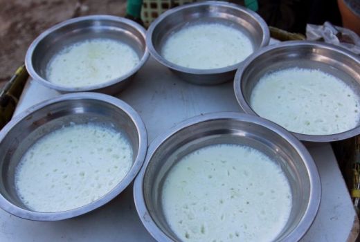 Dali Ni Horbo Makanan Khas Medan yang Gurih Nan Lezat - GenPI.co