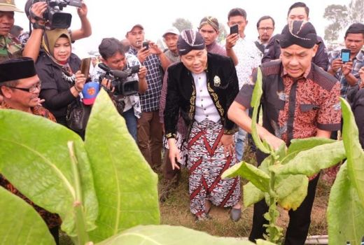 Ganjar Pranowo Minta Pembatasan Impor Tembakau untuk Petani - GenPI.co