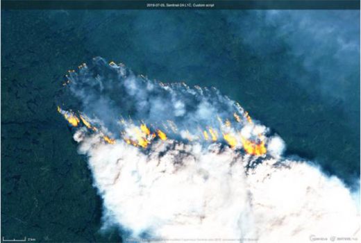 Terjadi Kebakaran Hutan di Kutub Utara, Kok Bisa? - GenPI.co