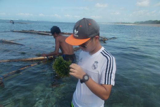 Milenial Panutan, Siswa SMA Ini Bikin Plastik dari Rumput Laut! - GenPI.co