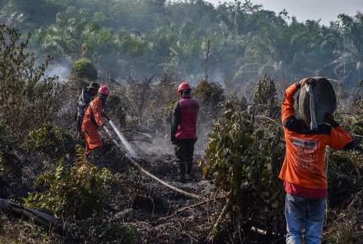  5 Helikopter Dioptimalkan untuk Padamkan Karlahut di Riau - GenPI.co