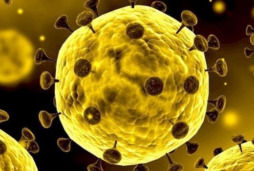 Virus Pasti Mati dengan Sendirinya, Asal… - GenPI.co