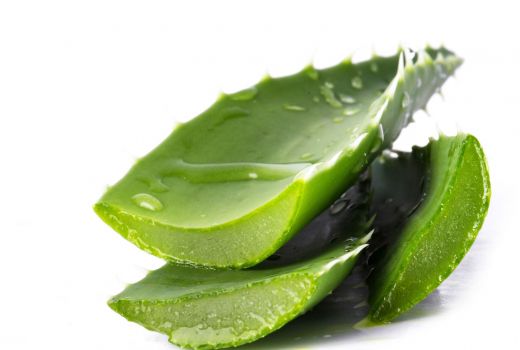 Selain Obat Jerawat, Lidah Buaya Bisa Menurunkan Kadar Gula darah - GenPI.co