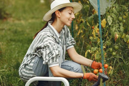 3 Golongan Darah yang Sangat Suka Berkebun - GenPI.co