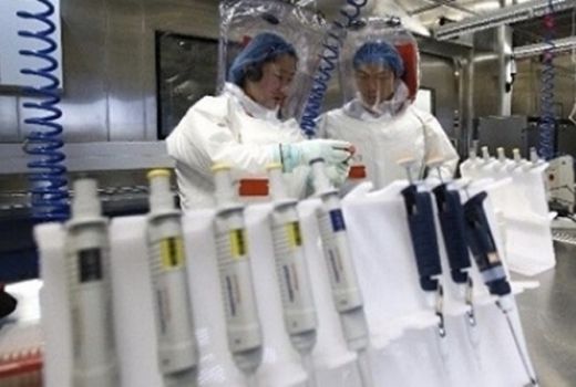 Di Dunia Virus Corona Makin Mengerikan, WHO Tak Kuasa Membendung - GenPI.co