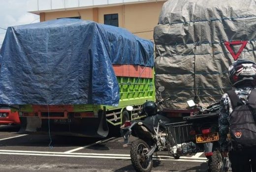 Daun Kratom Diburu Tengkulak, Karena Mengandung Narkoba? - GenPI.co