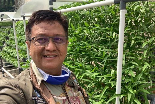 Ingin Tanaman Hidroponik Tumbuh Subur, Bagaimana Cara Merawatnya? - GenPI.co