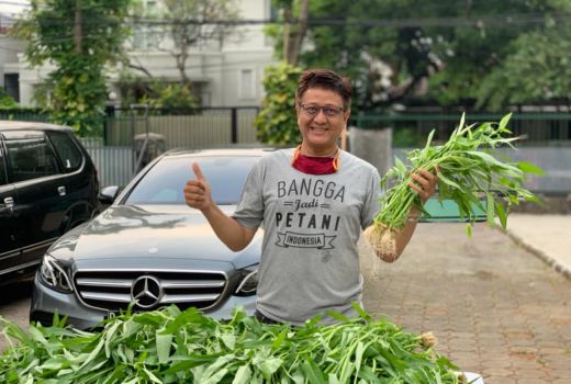 Sayuran Hidroponik Gagal Panen Karena Muncul Hama, Apa Solusinya? - GenPI.co