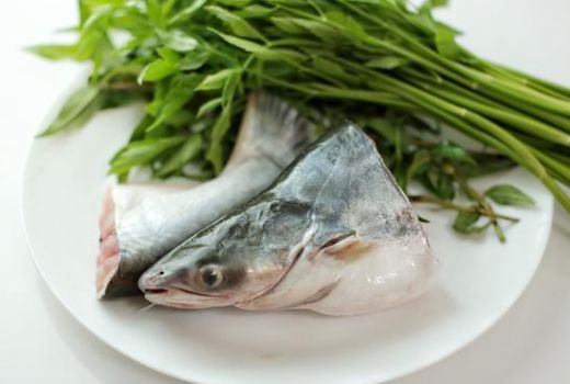 Khasiat Ikan Patin Ternyata Sangat Mengejutkan, Rasanya Gurih - GenPI.co