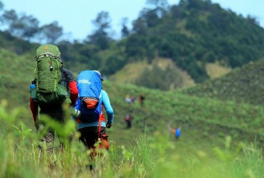 Jelajahi Taman Nasional Bromo Tengger dengan Sensasi Berbeda - GenPI.co