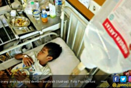 Tak Hanya Virus Corona, Kini Wabah DBD Juga Ancam Indonesia - GenPI.co