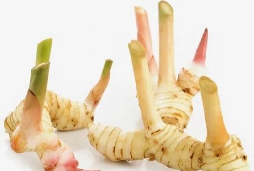 Manfaat Jahe Campur Lengkuas Bisa Menggetarkan Jiwa Raga - GenPI.co