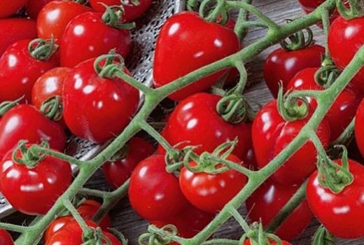Manfaat Buah Tomat Ternyata Tak Bisa Disepelekan - GenPI.co