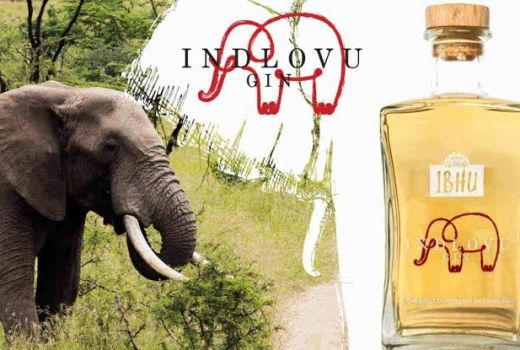 Ekstrem Banget, Bahan Baku Minuman Ini Kotoran Gajah - GenPI.co