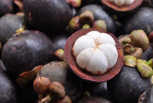 Sejak Abad ke-18 Jadi Obat Tradisional, Simak 4 Khasiat Ratu Buah - GenPI.co