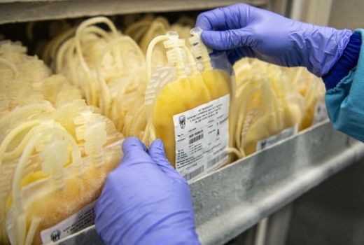 Obati Covid-19, Donor Plasma Konvalesen Serius Digarap Pemerintah - GenPI.co