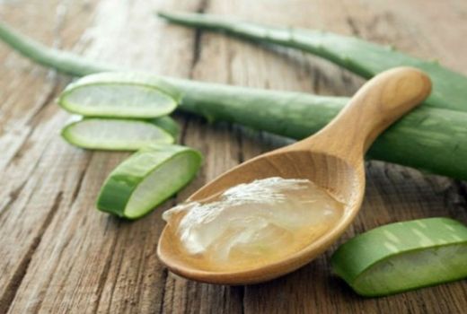 Mau Kulit Wajah Kencang dan Bebas Kerut? Bikin Masker Lidah Buaya - GenPI.co