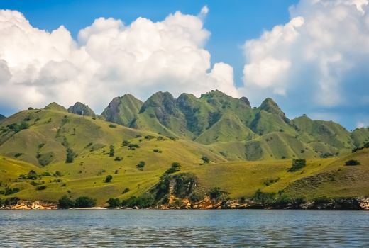 Penutupan TN Komodo Masih Menunggu Kajian KLHK - GenPI.co