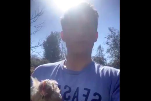 Tom Holland Pelihara Ayam untuk Jaga Stok Telur Selama Karantina - GenPI.co