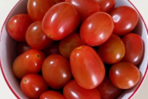 Tangkal Bahaya Penyakit Kanker dengan Rajin Makan Tomat Cherry - GenPI.co