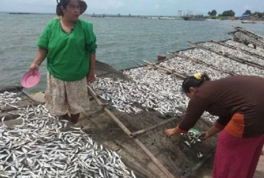 Melupakan Bencana Tsunami 2018, Nelayan Pandeglang Panen Ikan - GenPI.co