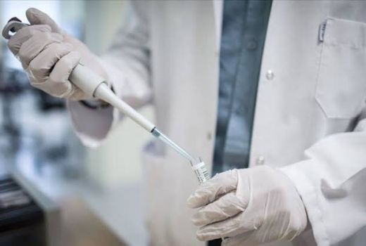 Uji Coba Terapi Plasma Konvalesen Pasien Corona Siap Dilakukan - GenPI.co