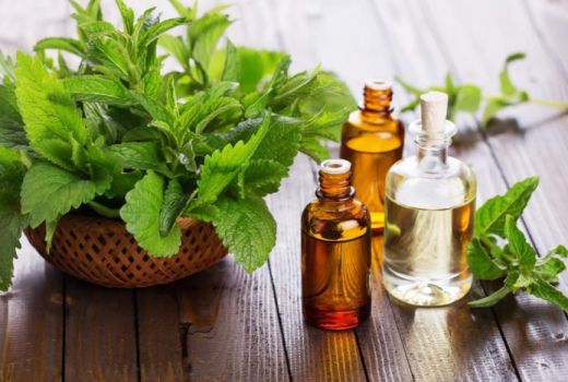 4 Essential Oil untuk Mengatasi Batuk - GenPI.co