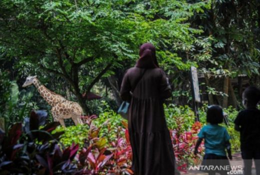 Kebun Binatang Bandung Gratiskan Tiket Masuk untuk Sambut HUT Ke-77 RI - GenPI.co JABAR