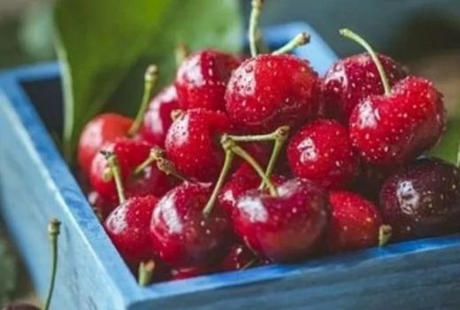 Cari Tahu Yuk! Ini Dia 5 Manfaat Buah Ceri - GenPI.co JABAR