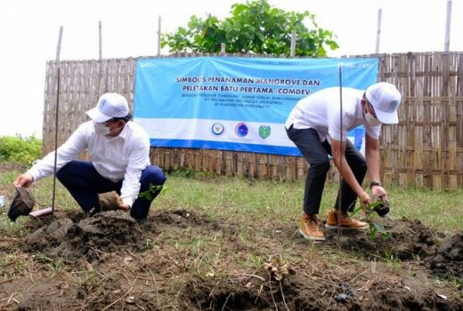 Rehabilitasi Kawasan Mangrove di Indramayu Bakal Dipercepat - GenPI.co JABAR
