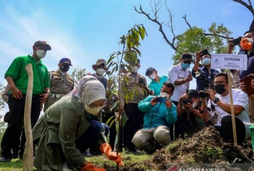 Bupati Purwakarta Ajak Warga Kurangi Lahan Kritis dengan Cara Ini - GenPI.co JABAR