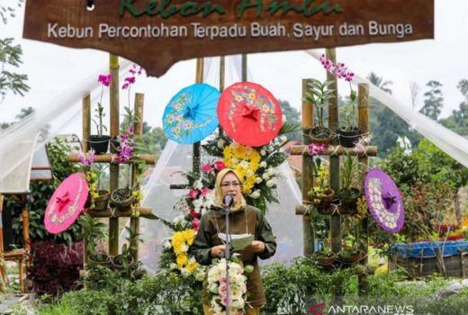 Intip Keseruan Festival Hortikultura Kebon Ambu di Purwakarta - GenPI.co JABAR
