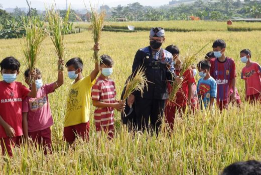 Panen Raya di AEWO Muyaharja, Wali Kota Bogor Pamer Ini - GenPI.co JABAR