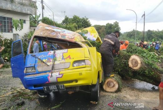 Duh! Pohon Tumbang Timpa Mobil di Tasikmalaya, 1 Korban Terluka - GenPI.co JABAR