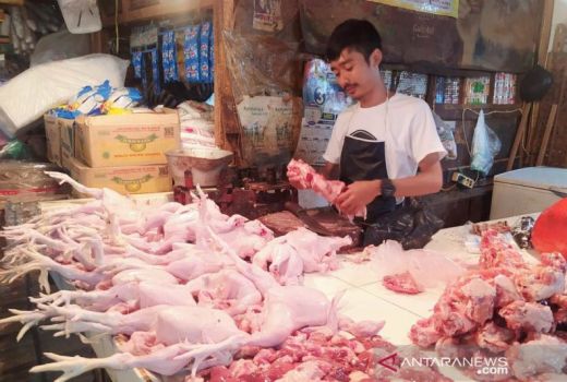 Ternyata Ini Penyebab Harga Daging Ayam di Cianjur Meroket - GenPI.co JABAR