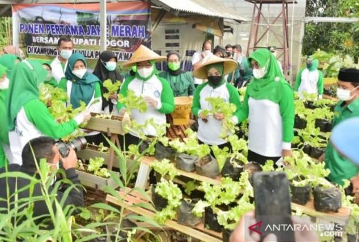 Pemkab Bogor Gelar Penilaian Penyuluh Pertanian Berprestasi - GenPI.co JABAR