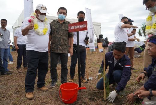 Cegah Masalah Lingkungan, Dishut Jabar Tanam Puluhan Juta Pohon - GenPI.co JABAR