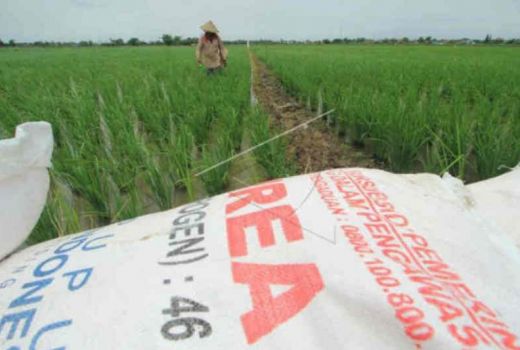 Sebegini Capaian Penyaluran Pupuk Bersubsidi di Jabar - GenPI.co JABAR