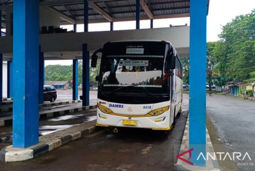 Kabar Bagus untuk Warga Bogor dan Subang, DAMRI Buka Rute Baru - GenPI.co JABAR