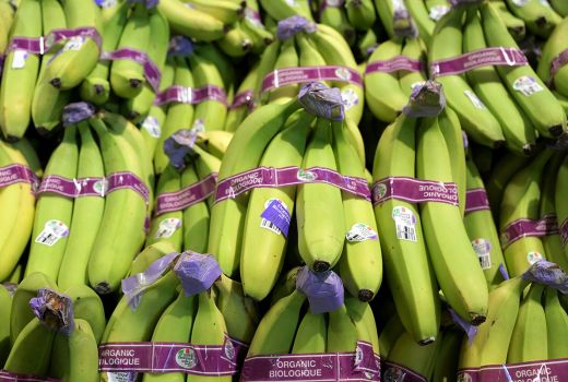 5 Manfaat Buah Pisang untuk Ibu Hamil - GenPI.co JABAR