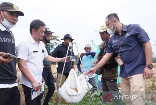 Petani di Banjar Senang Panen Meningkat, Ternyata ini Sebabnya - GenPI.co JABAR