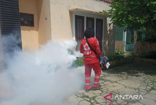 PMI Cianjur Hadapi Serangan DBD, Begini Perjuangannya - GenPI.co JABAR