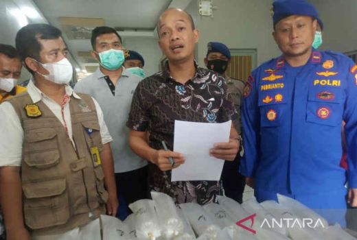 Bravo Polisi, Penyelundupan 8.600 Benur Berhasil digagalkan - GenPI.co JABAR